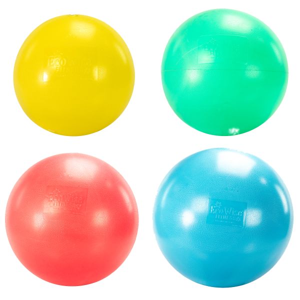 Physio ball Set